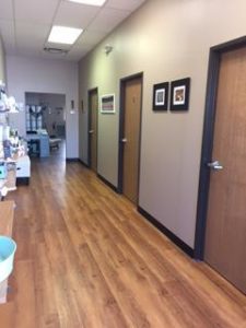 Michigan TCM Wellness Center Hallway